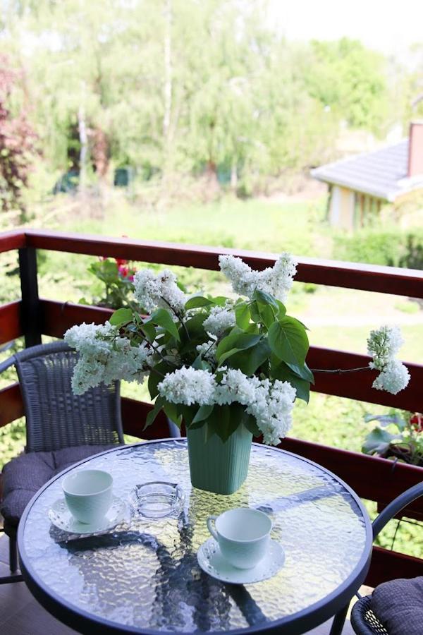 Blue Harmony Daire Palić Dış mekan fotoğraf