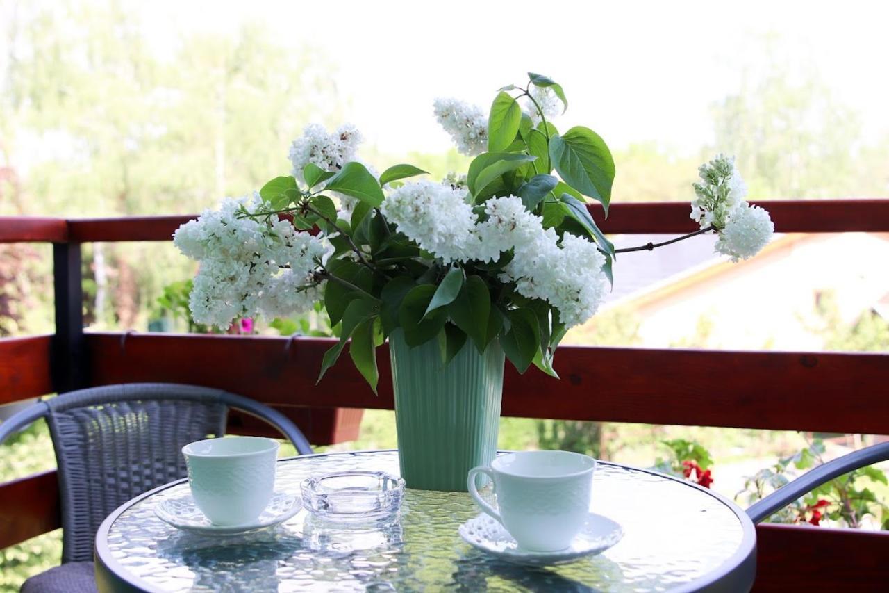 Blue Harmony Daire Palić Dış mekan fotoğraf